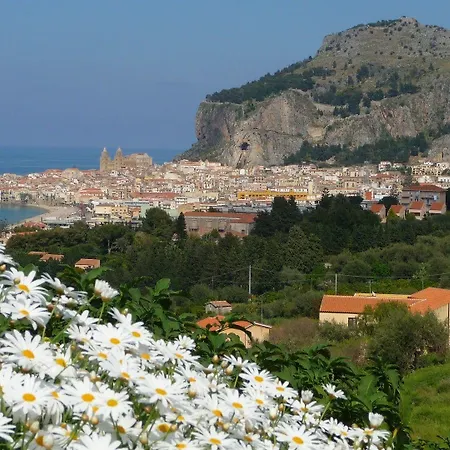 Margherita Cefalu