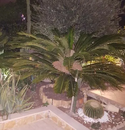 Margherita